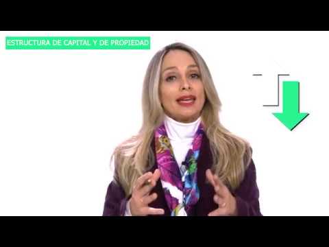 estructura de capital de una empresa