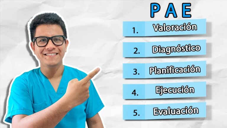 etapas del pae y sus definiciones