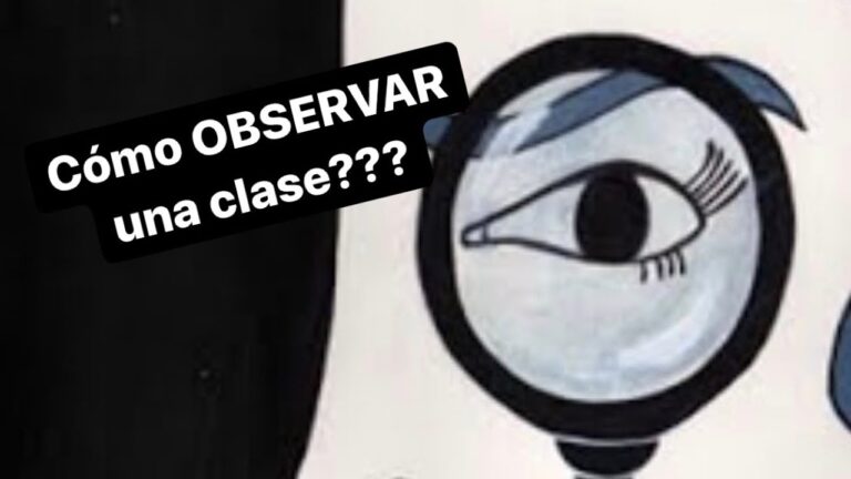 formato de observacion de clase