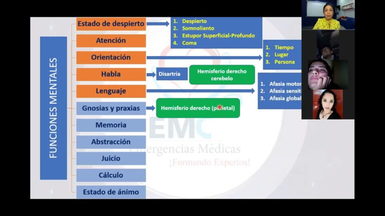 funciones mentales superiores e inferiores