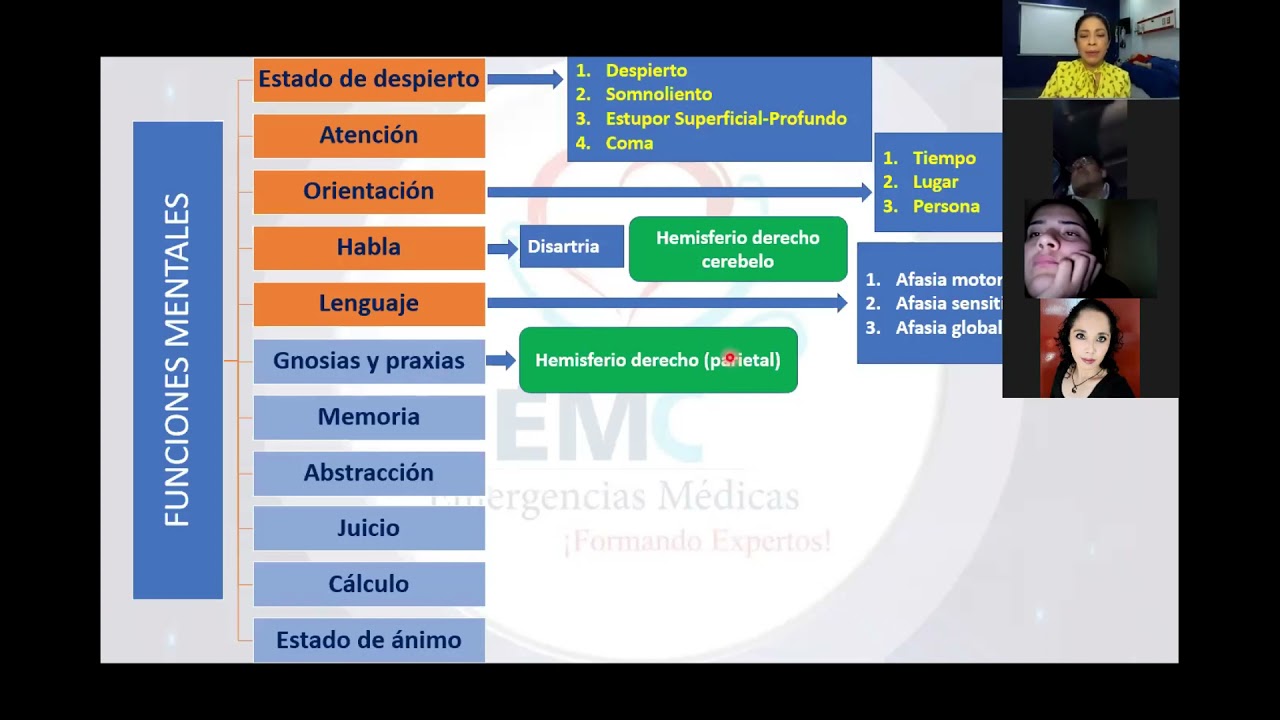 funciones mentales superiores e inferiores