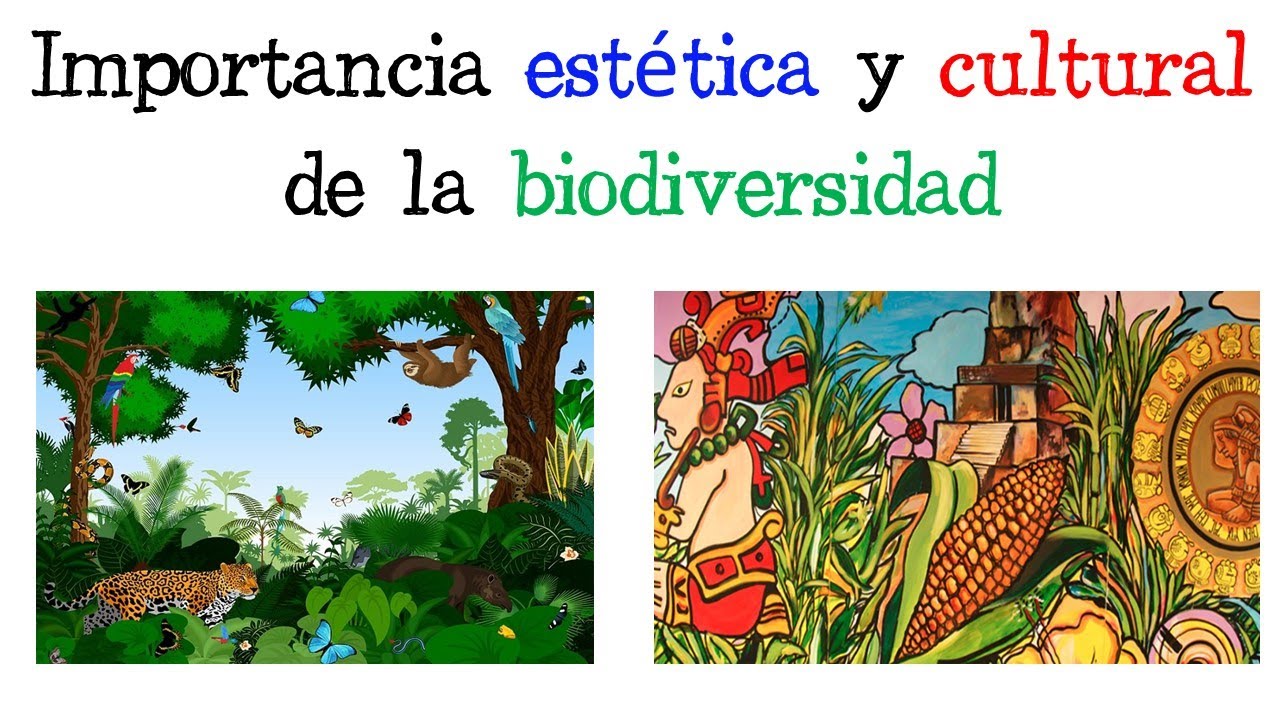 importancia cultural de la biodiversidad