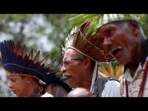 importancia de las lenguas indigenas en mexico