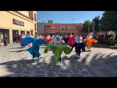 jurisdicción sanitaria tenango del valle