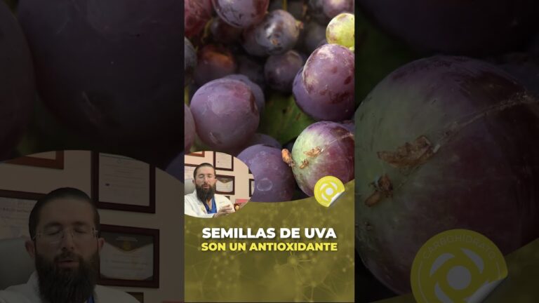 la uva es fruta o verdura