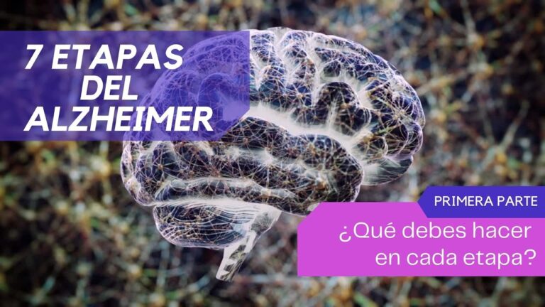 las 7 etapas del alzheimer