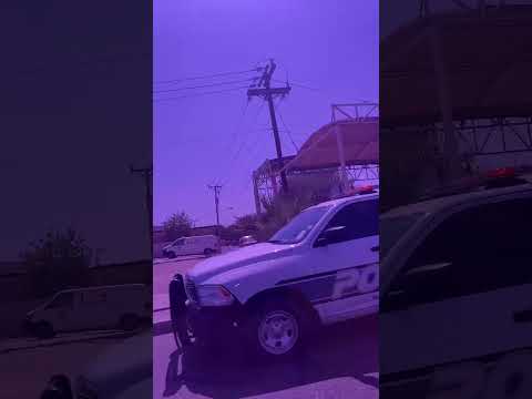 maestros democráticos de la base