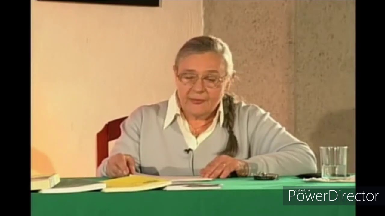 niveles de conceptualización de la lengua escrita