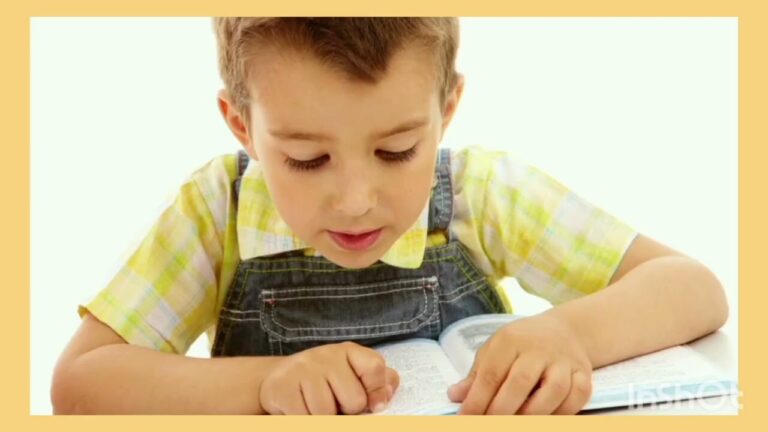 niveles de lectoescritura emilia ferreiro