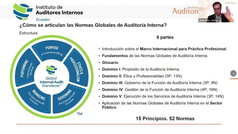 norma y procedimientos de auditoria