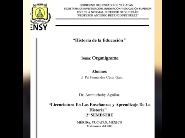 organigrama de una escuela primaria