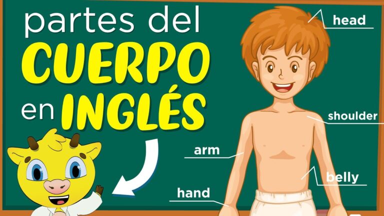 partes del cuerpo con la letra e