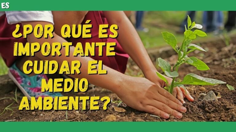 porque es importante cuidar el medio ambiente resumen