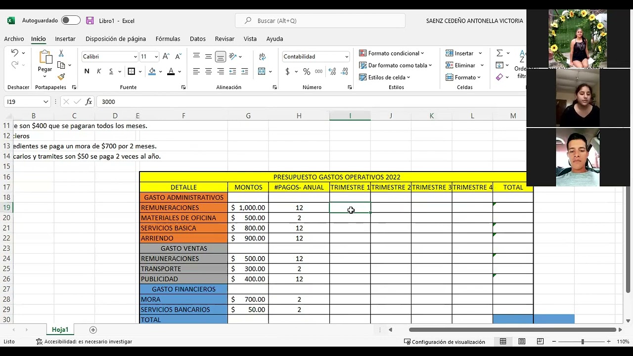 presupuesto de gastos de operacion