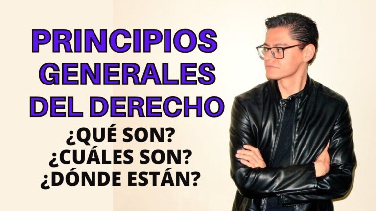 principios generales del derecho mexicano