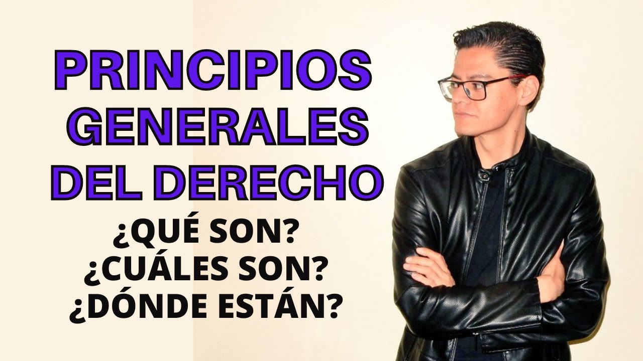principios generales del derecho mexicano