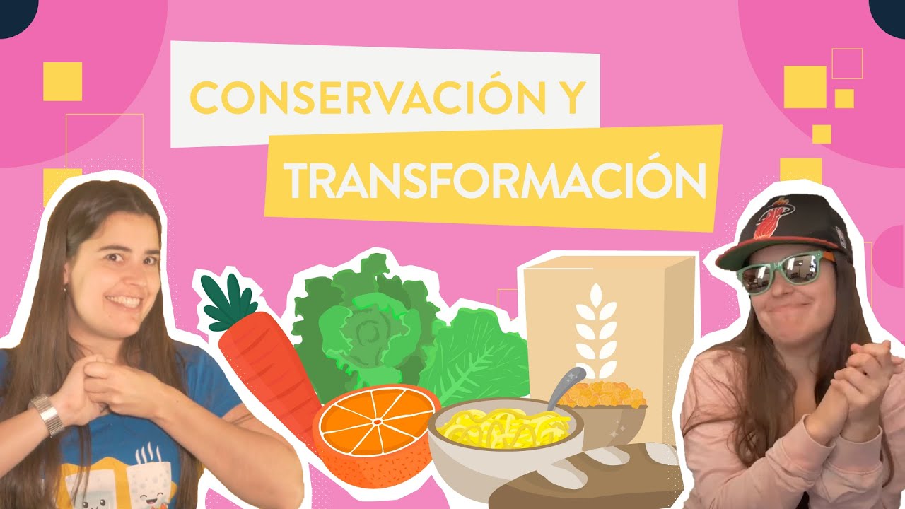 proceso de transformación de los alimentos