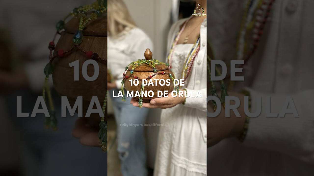 qué elementos compara la autora de dame la mano