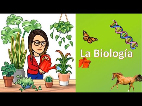 que es area de estudio