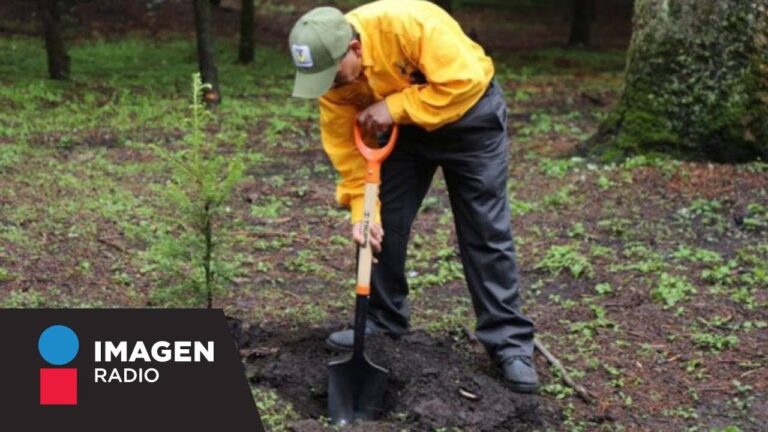 que es el desarrollo comunitario