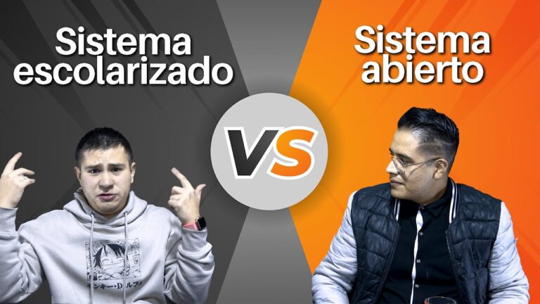 qué es el sistema escolarizado