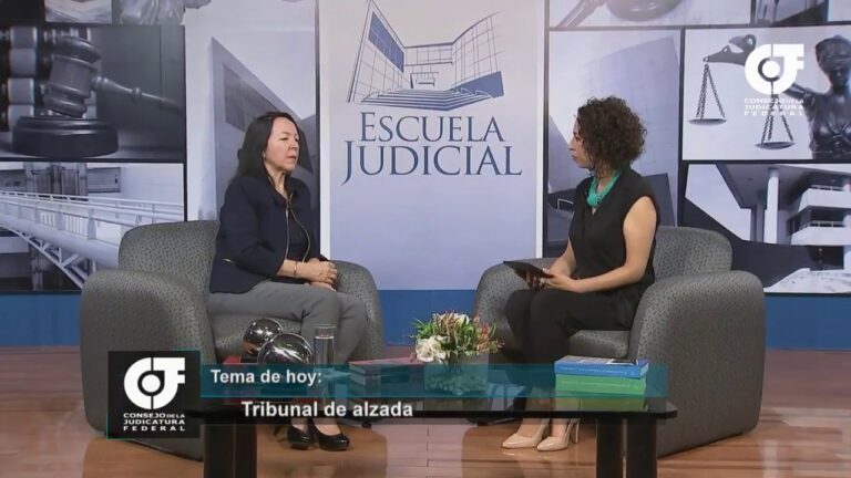 que es el tribunal de alzada