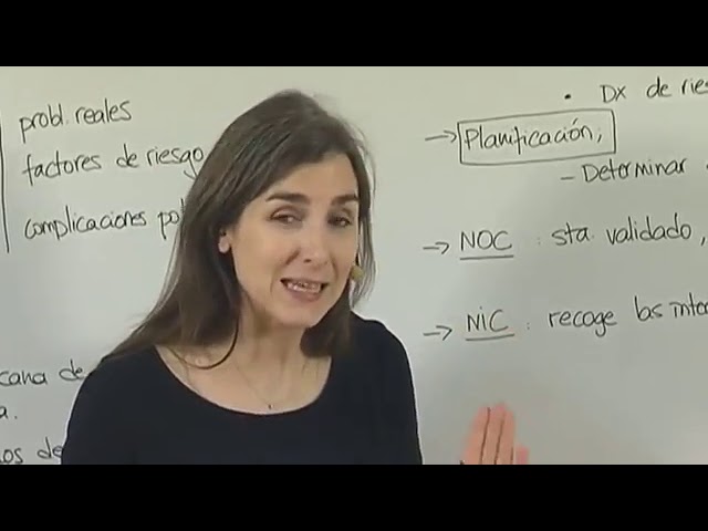 que es nanda nic noc