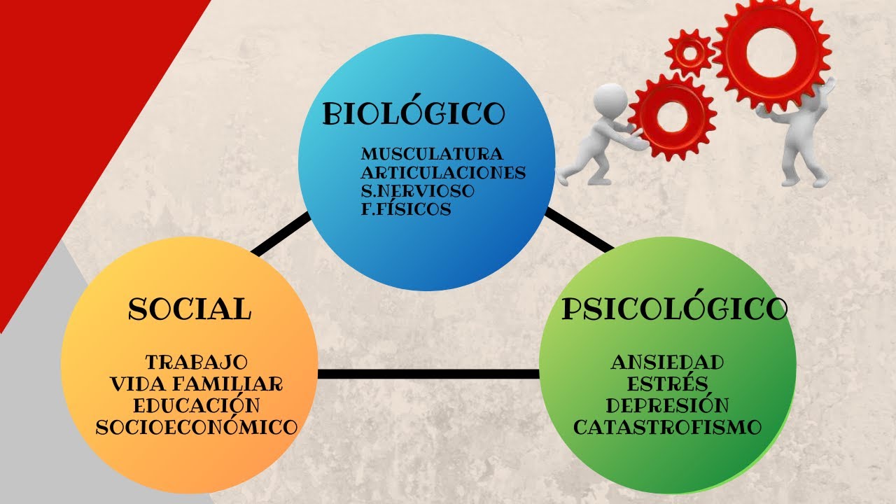 que es un ser biopsicosocial