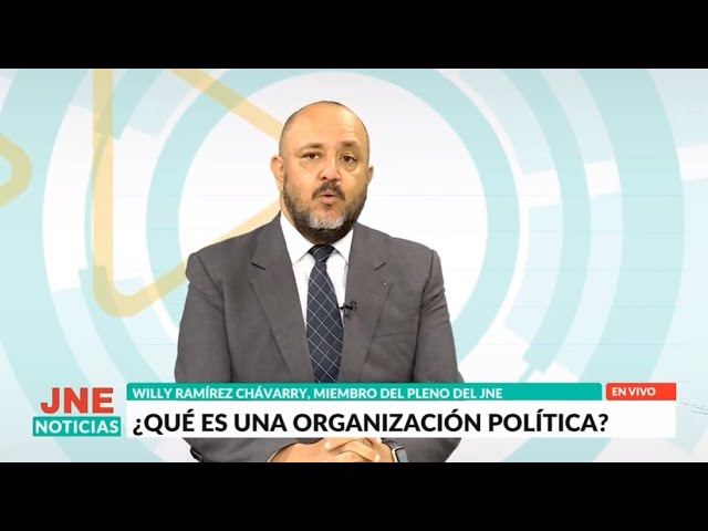 qué es una organización política