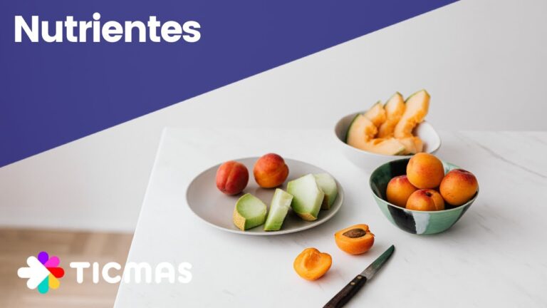 qué función tienen los nutrientes en el cuerpo