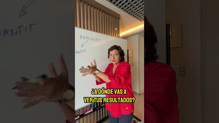 qué información aportan estos elementos y apartados