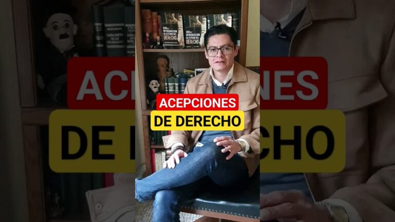 que son las acepciones del derecho