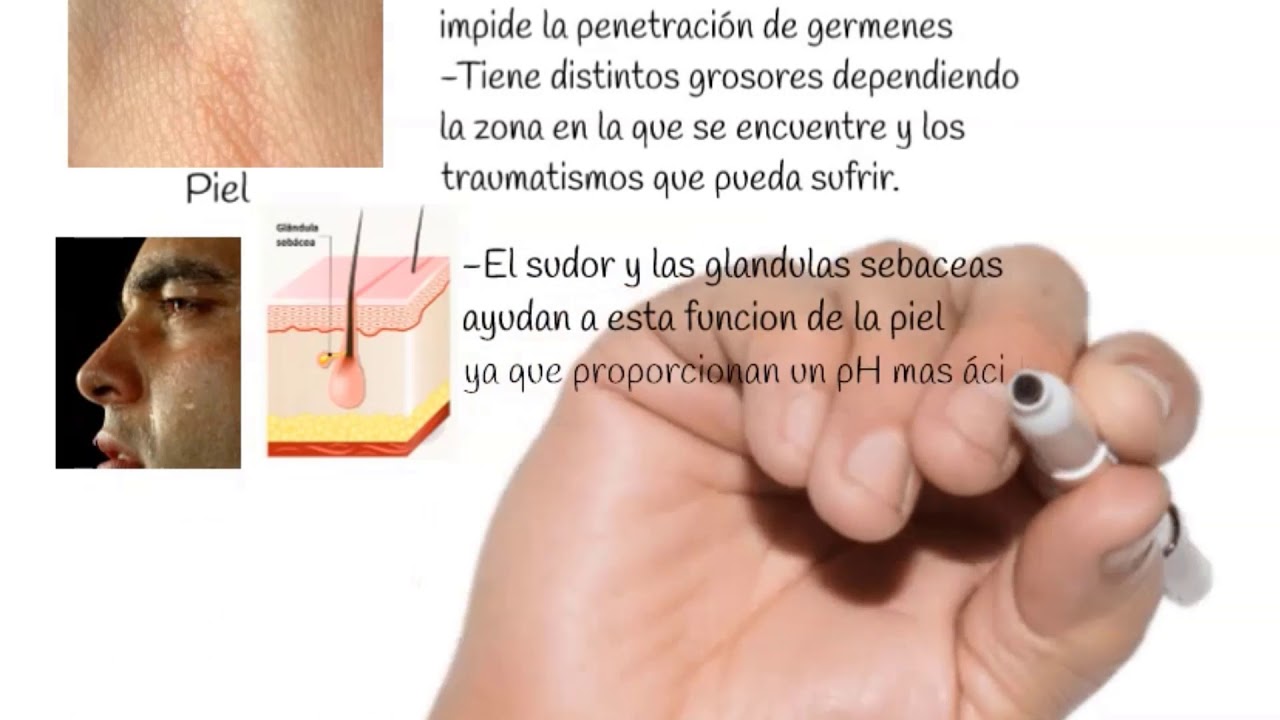 que son las barreras fisicas