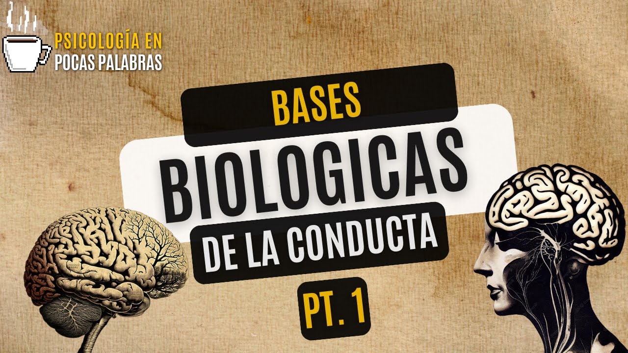 que son las bases biológicas de la conducta