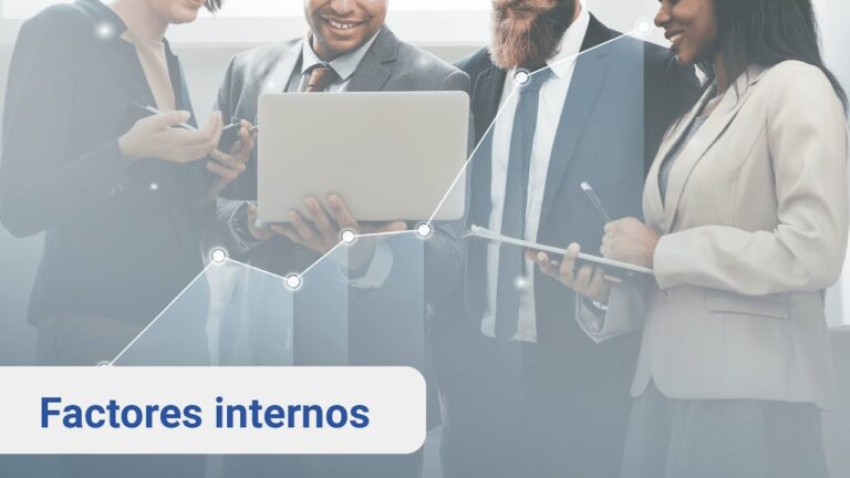 qué son los factores internos