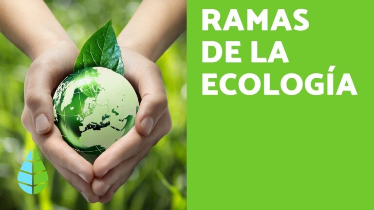 ramas auxiliares de la ecología