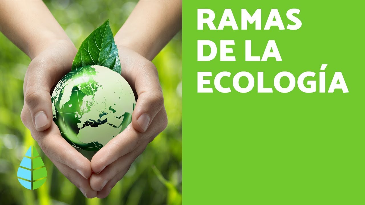 ramas auxiliares de la ecología