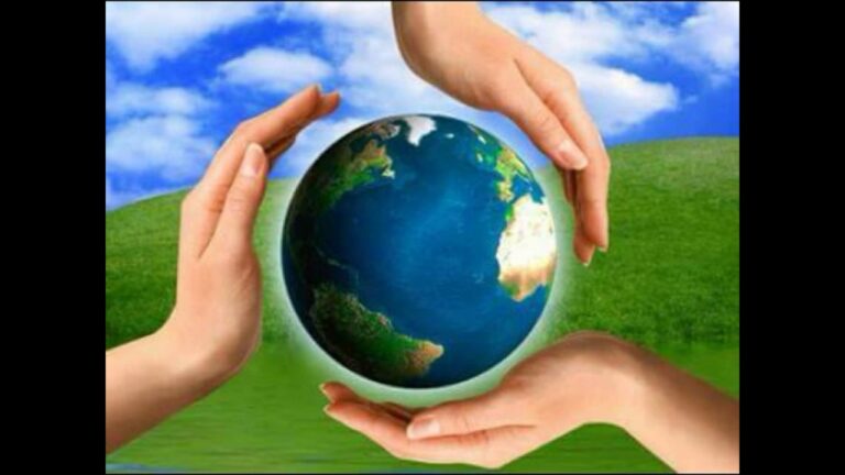 respeto y cuidado de la comunidad de la vida