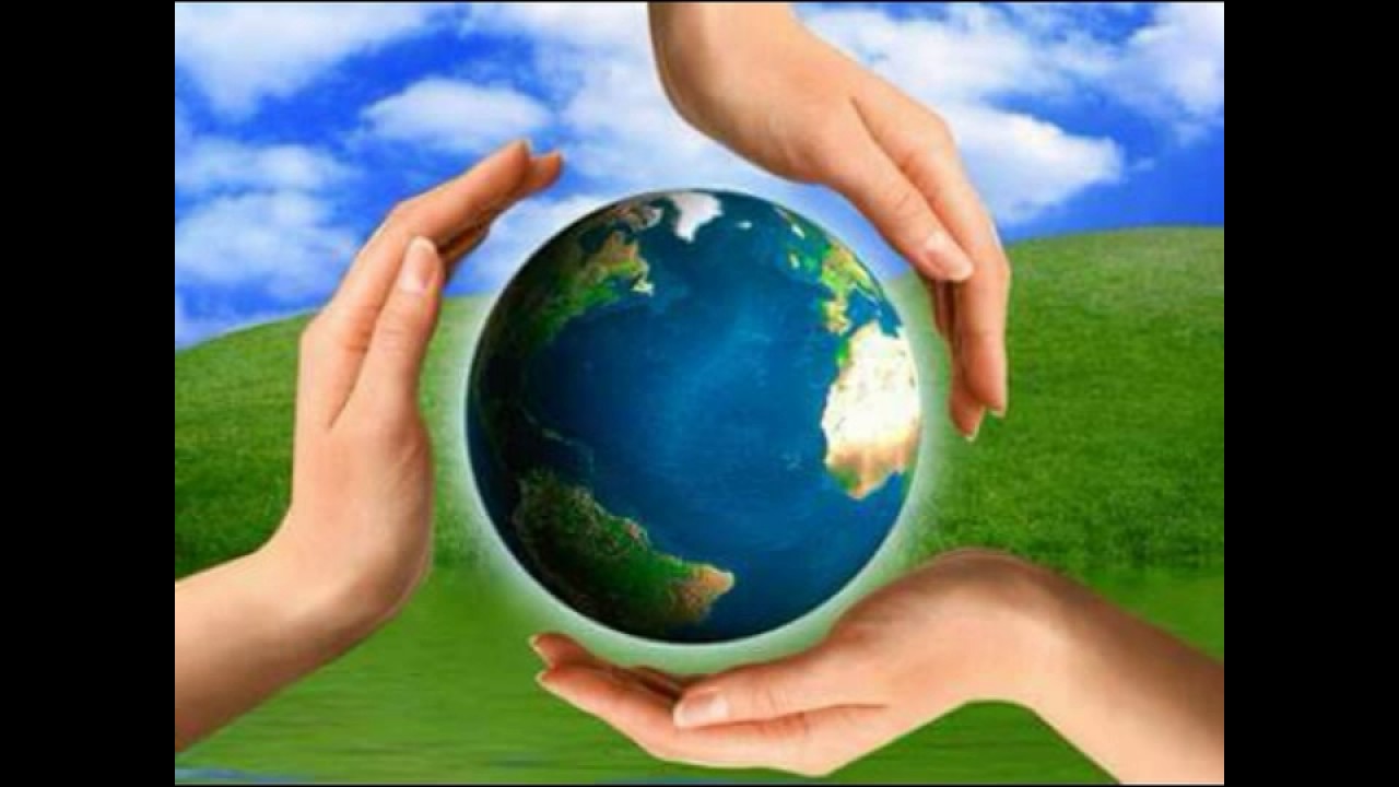 respeto y cuidado de la comunidad de la vida