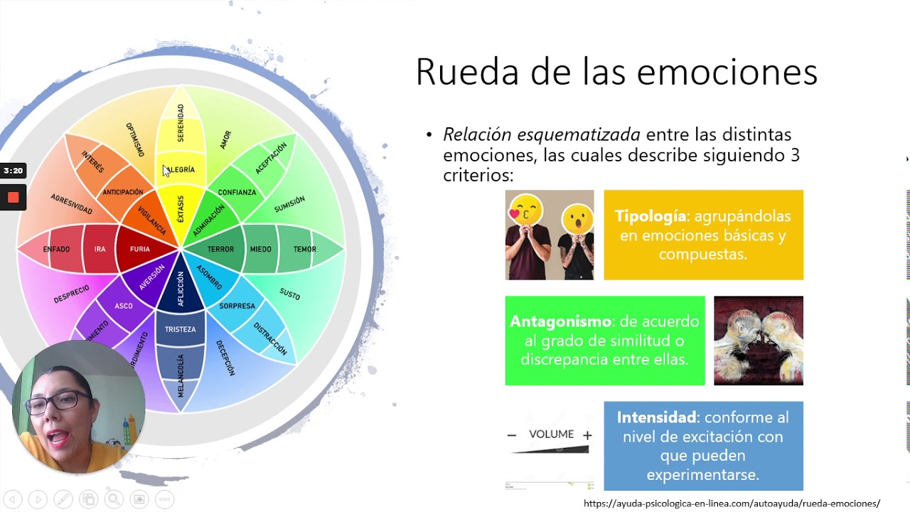 rueda de las emociones robert plutchik