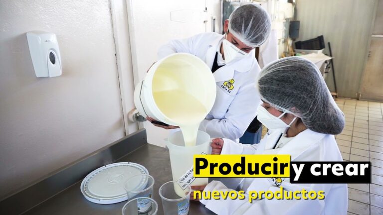 tecnico en produccion industrial de alimentos