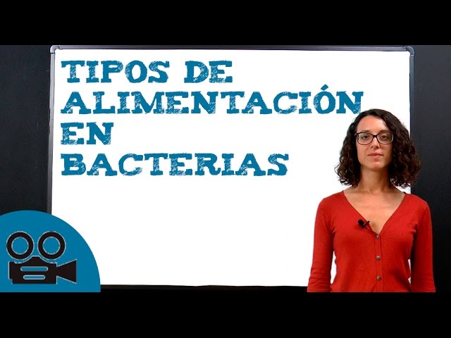 tipos de nutrición de las bacterias